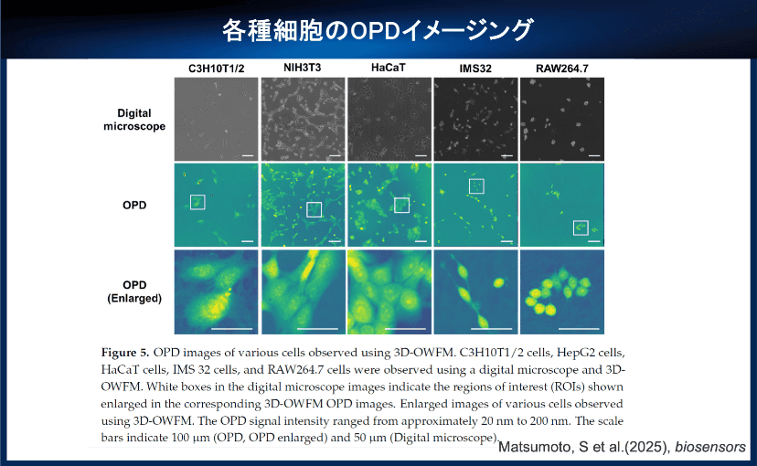 課題6：サムネイル