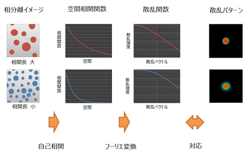 （測定例）相分離構造の相関長の解析