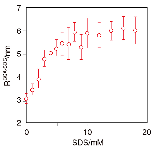 SDS濃度によるBSAの粒径変化