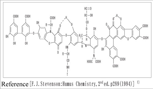 図１．フミン酸の概念図