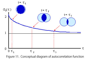 自己相関関数の概念図