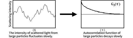 大きな粒子からの散乱光の揺らぎと自己相関関数