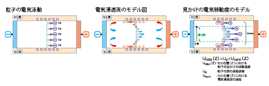 電気物性測定法の原理と応用の新展開 大塚電子