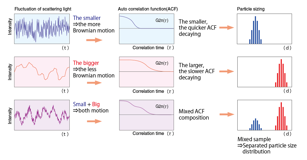 dynamic light scattering size exclusion