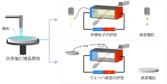 ウェーハ表面の電位（ELSZ-2000ZS）