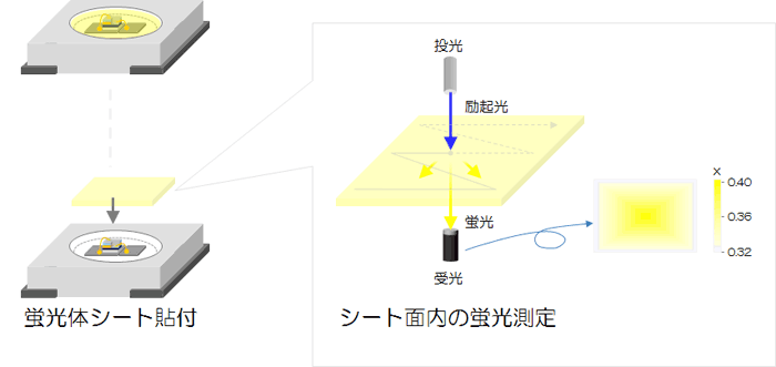 蛍光体シートの均一度（DF-1000）