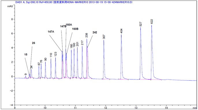 電気泳動法DNA