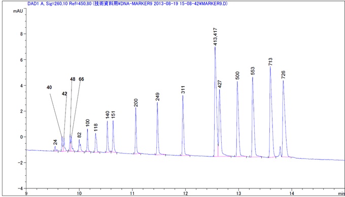 電気泳動法DNA２