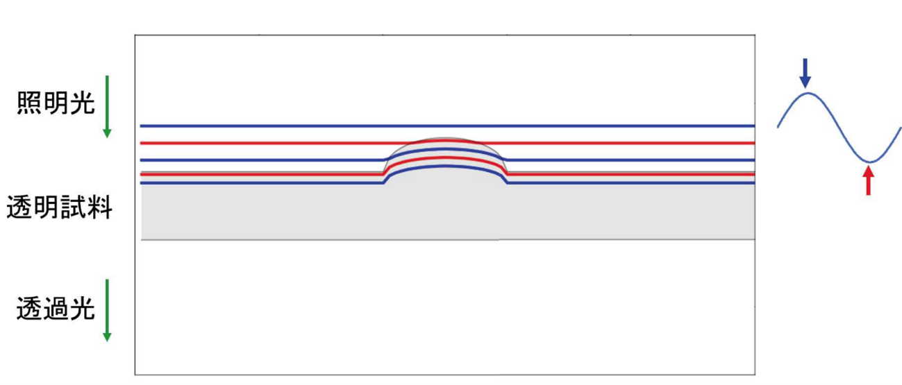 OPDイメージング