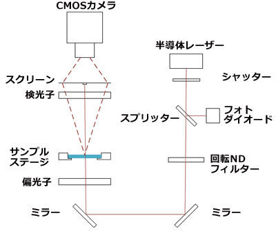 光学系と測定手順