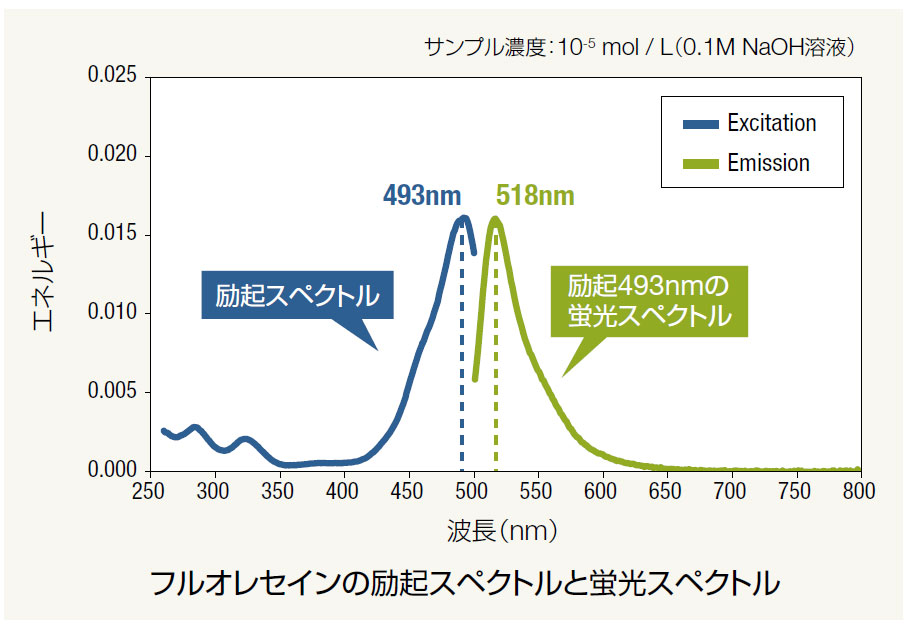 フルオレセインの励起スペクトルと蛍光スペクトル