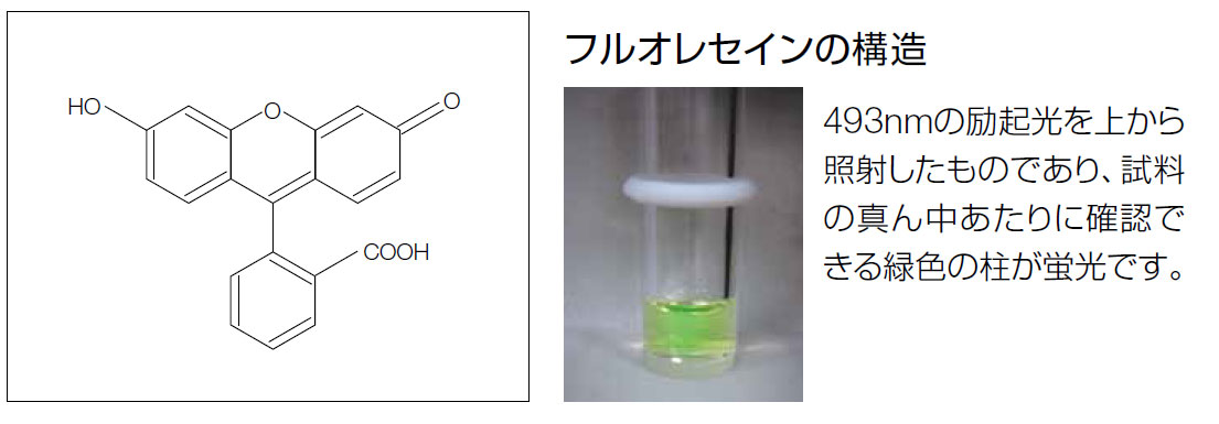 溶液試料の測定例