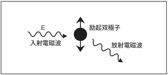 静的光散乱法（SLS法）による分子量測定の原理