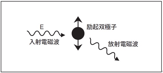 静的光散乱法（SLS法）による分子量測定の原理