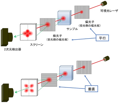 図4．Vv散乱とHv散乱の概略図（上図）Vv散乱 （下図）Hv散乱