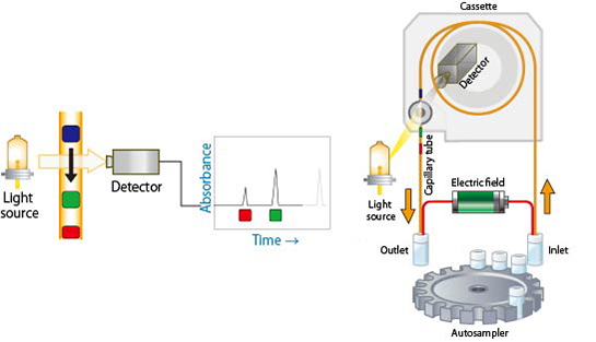 Principle and procedure