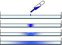 小粒子（左）と大粒子（右）の拡散速度の違いを示したモデル