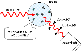 動的光散乱法の測定概略図