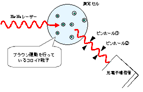 動的光散乱法の測定概略図