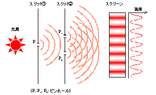 Youngの光干渉実験モデル