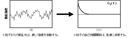 小さな粒子からの散乱光の揺らぎと自己相関関数