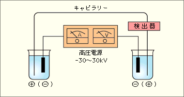 電気泳動をおこないます