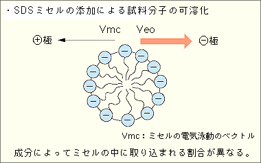 SDSミセルの添加による試料分子の可溶化