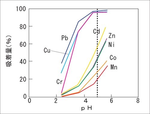 図２．5×10-4mol/Lの重金属のフミン酸への吸着量のpH依存性