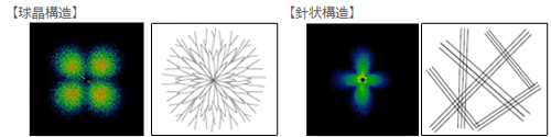 左図：球晶構造　右図：針状構造