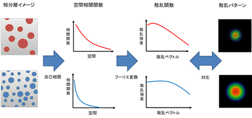 （測定例）相分離構造の相関長の解析