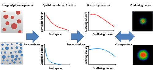 (Example of measurement) Analysis of correlation length of phase separation structure