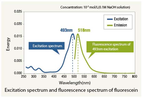 フルオレセインの励起スペクトルと蛍光スペクトル