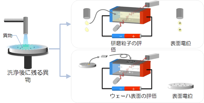 ウェーハ表面の電位（ELSZ-2000ZS）